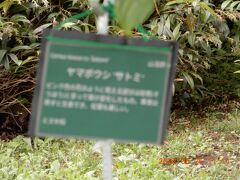 {十勝ヒルズ｝「花畑や蓮池に庭」観光客が少なくユックリ見られる。　初めての北海道　２１