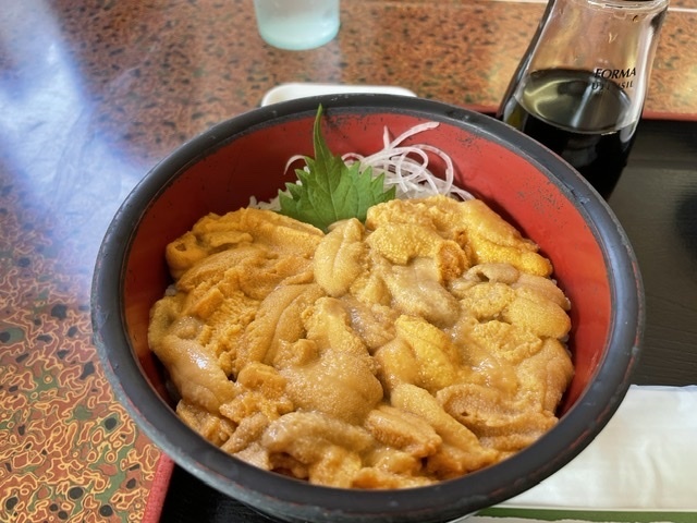 ウニを食べに北海道へ