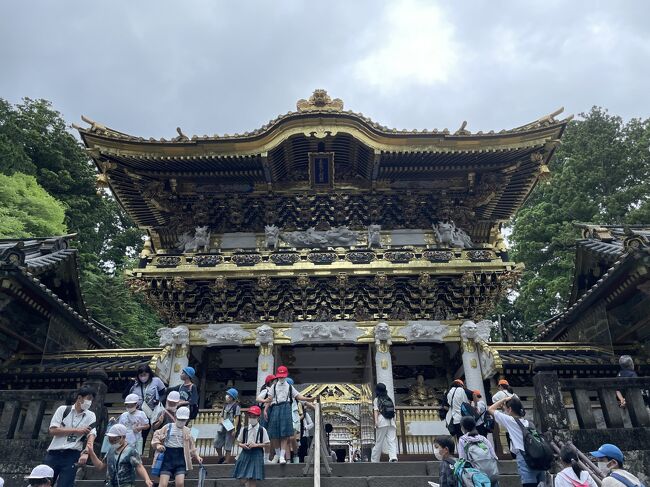 2日目はゆっくり出発して東照宮参拝の後、昼食をはさんで華厳滝を見学、早めの15時に宿入りです。<br />30年以上ぶりの東照宮でしたが、陽明門が修復されていて見事でしたし、奥の家康の墓所まで行くことができました。華厳滝も毎秒2.5Lの水量がすごかったです。が、両方とも修学旅行の小学生たちであふれ、余韻とか雰囲気を楽しむ感じではありませんでした。それでも修学旅行に行けるようになって良かったと思いました。<br /><br />7/7(木)やまびこ202 12:12東京発 13:04宇都宮着 星野リゾート界川治泊<br />7/8(金)日光東照宮 二荒山神社 華厳滝 星野リゾート界日光泊<br />7/9(土)英国・イタリア大使館別荘記念公園 宇都宮二荒山神社 やまびこ144 15:59宇都宮発 16:48東京着