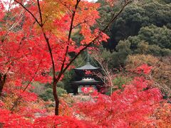 錦繍の京都でのんびり一人旅　第２日