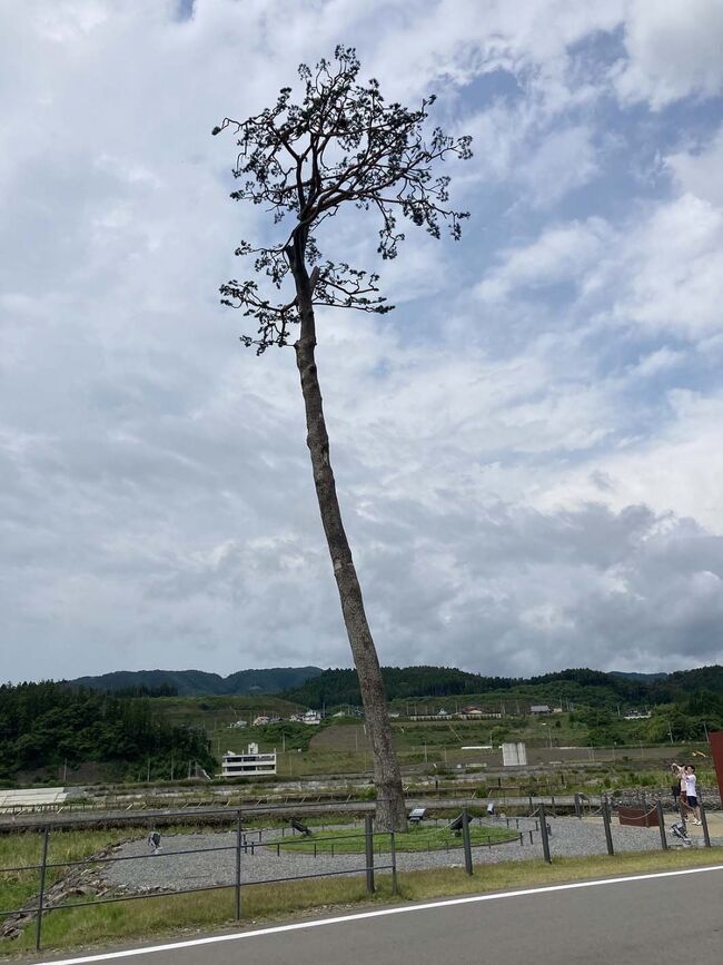 ジジ・ババ車中泊旅行2日目。<br /><br />今日は、三陸海岸沿いを北上して、「道の駅・くじ」を目指します。<br />途中立ち寄る場所は全く未定。<br />のんびり、ゆっくり旅しま&#12316;す！