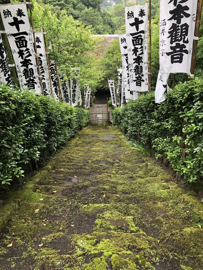 今年のNHKの大河ドラマ「鎌倉殿の13人」はなかなかわかりにくい。源氏が平家を滅ぼし、頼朝が鎌倉に幕府を開き、いとこの義仲、弟である義経を追討、頼朝の死後は妻政子を中心に北条家が実権を握っていくことまでは学校で学んだ。しかし、このドラマの主人公二代執権・北条義時が政子の弟で、頼朝の部下として武家の世を盤石にしたことは初めて知った。そして13人が誰を意味するのか、最近やっとわかってきた。それはともかく、久々に鎌倉を訪れた。鶴岡八幡宮や大仏は何度も訪れていたので、今回は鎌倉市の東部など、頼朝、政子、実朝のゆかりの地を歩いた。まずは杉本寺、本殿には階段をかなり上ることが必要、山門から本堂までの「苔の石段」が有名。行基が開山、源頼朝入府以前からあった鎌倉最古の霊場である。本堂の三体の十一面観音像は、建立した行基、慈覚大師円仁、恵心僧都源信による。本尊前立の十一面観音は運慶の作で、源頼朝が寄進。本堂も山門も屋根は茅葺きで、山門の仁王尊も運慶作、など見どころは多い。続いて頼朝の墓がある法華堂、案内に従って白旗神社から石段を登って行ったところある。鎌倉幕府を築いた頼朝にしては、目立たない石塔だ。元は頼朝の墓所として法華堂があったそうだが、のちに焼失している。続いて寿福寺、北条政子が頼朝の父、義朝の旧邸跡に明菴栄西を招いて創建。三代将軍実朝もしばしば訪れ、最盛期に は十数か所の塔頭を擁する大寺であったという。この日は、中門の手前までしか入ることができなかった。政子と実朝の墓は仏殿裏山にあり、参拝した。日も暮れ始め、急ぎ足で鎌倉駅に急いだ。