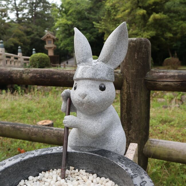 山陰の旅最終日は、出雲大社へ向かいます<br /><br />本当は、松江城を観光してからの予定でしたが<br />天気予報で雨の予報だったのでまずは<br />出雲大社へ<br /><br />午後天気が曇になったので松江城に戻って観光しました。<br /><br />宿泊ホテルは、出雲ロイヤルホテル