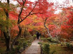 錦繍の京都でのんびり一人旅　第３日