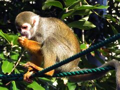 SJご招待の旅5【大牟田市動物園】