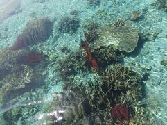 初めての沖縄旅行 息子と2人旅　安室島リピ