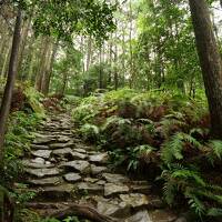 2022.07 熊野古道・馬越峠に行ってきた。