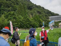 新高山城