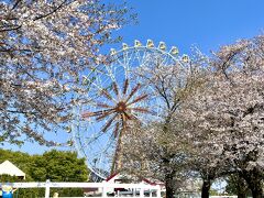 孫と一緒に東武動物公園へ行きました。（桜の写真を追加しました）