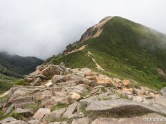 八ヶ岳ライフ　22年7月　天狗岳登山