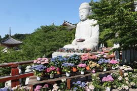 初夏の三重・奈良・京都♪　Vol.182 ☆高取町：「壺阪寺」♪