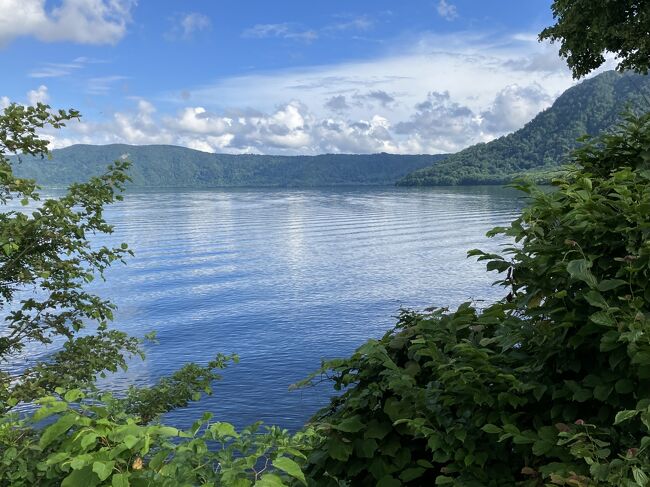 田沢湖の次に、長々と滞在したのが、十和田湖のエリアでした。<br />こちらもまた、延々と、雨マークが並ぶ天気予報が続いていて、「ここまで、激しく続くかよ」と悪態をつきながら、それでもめげずに、向かいました。<br /><br />6泊の滞在中、丸一日、雨が降り続いた日も、2日ほどありましたけど、たとえ半日でも、晴れに恵まれた日もあり、太陽に合わせて出かけるようにすれば、しっかりと湖の景色を楽しめました。<br />皮肉なのは、もっとも好天に恵まれたのは、十和田湖を去る日だったので、次の宿も近いので、チェックアウト後にまた、十和田湖の景色を追いかけました。<br />やはり、いい景色を眺めるためには、旅程の自由さと、雨にも耐えうる長い目滞在です。リタイヤ後の人生だからこその長期旅ですが、なぜか私のまわりのリタイヤ組は、現役時代の「夏休み二泊三日の旅」のリズムを守り続けてます。私みたいな、長旅をする人は、全体の5%いるかいないか。<br /><br />以前は、十和田湖の景色をあまり美しいとは思ってなかったんですが、それはたまたま、十和田湖に立ち寄った時が、いつも曇りだったからかと思います。<br />先に、魅了されたのは、奥入瀬渓流でした。<br />あちらは、青空がなくとも、太陽の光が届いただけで、木漏れ日の森の中を、車で走れて、あるいは、遊歩道を歩けて、素晴らしい景色を堪能できるのですが、十和田湖の美しさは、やはり、青空が不可欠です。<br /><br />昨年は、ずっとグレーの空だったので、さすがの私もいや気がさしたのですが、今年は、晴れる時には、青空が出てくれたので、昨年よりはずっと楽しめました。