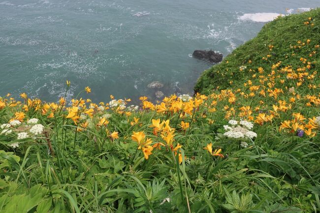 　７月８日（金）<br />その４は根室のイーストハーバーホテルを出発後に、花咲港の天然記念物に指定されている車石、灯台を見学後、中々行く機会のなかった霧多布岬を見学しました。私が過去に訪れた岬の中でも、１，２を争う最も印象に残った場所となりました。<br />　その後は根室半島の南側を走行し、厚岸グルメパークに立ち寄って昼食を摂りました。この昼食中に、世間を騒がすことになりました安倍晋三元総理の襲撃事件の報に接する機会となりました。<br />　午後からは、二日目に立ち寄る事の出来なかった真鍋庭園・十勝ヒルズを見学する事が出来ました。この日は帯広に宿泊しますので、ゆっくりと綺麗な庭園を見学出来、又市内を散策する事も出来た有意義な時間となりました。