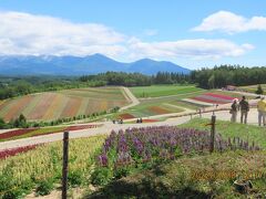 7つの絶景をめぐる夏の北海道への旅⑭青い池～四季彩の丘