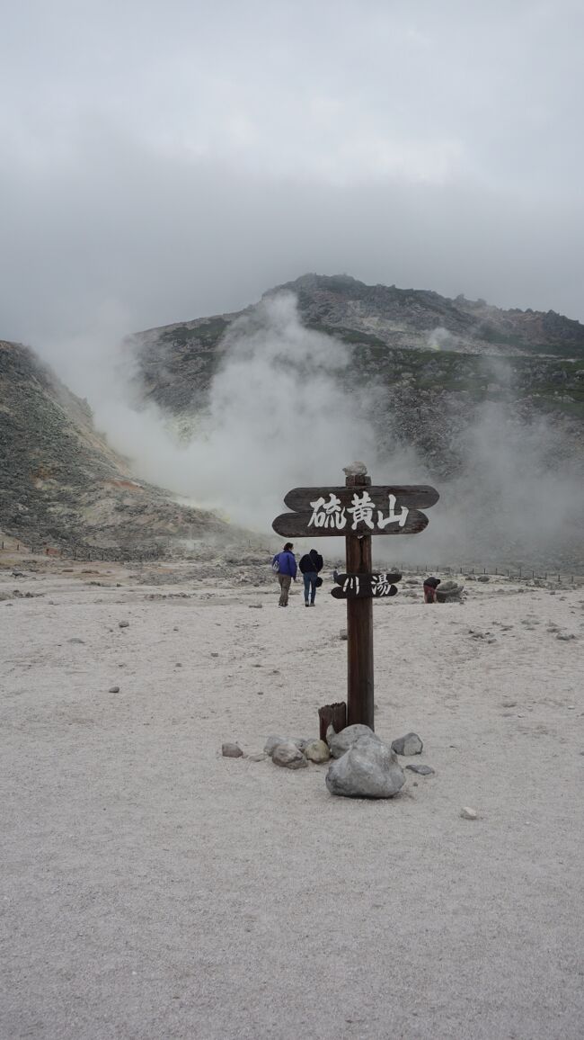 今回の旅行では釧路湿原と摩周湖にはどうしても行きたいと思っていた。この日は曇り気味だったが、釧路湿原あまり影響はなかったが、裏摩周展望台ではまさに霧の摩周湖という状態で、霧は時間を追うごとに深くなり、摩周湖第一展望台では何も見えない状態で見学を諦めざるを得なかった。次の日、天気が良ければ再度トライしたいと思った。雨に降られることもなく散策ができたことは幸いだった。<br />７月１日（金）釧路市の近くにある戦跡と釧路市立博物館を見学。釧路湿原の釧路市湿原展望台と細岡展望台を見学。その後、裏摩周展望台に行くが、まさに霧の摩周湖だった。摩周湖第一展望台はさらに霧が深くなり、見学を諦めて硫黄山を見学して川湯温泉に行く。