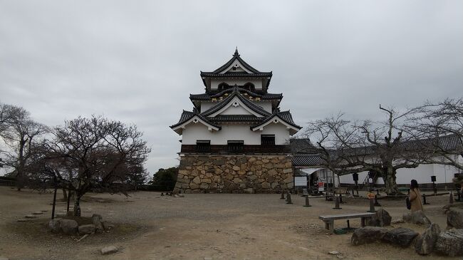 青春18きっぷを使って、名古屋から福岡まで移動しました。そして、その道中、山陰地方を鉄道で横断しました。<br /><br />●１日目(彦根・宇治)  彦根城、平等院●<br />２日目(鳥取)  鳥取砂丘、仁風閣<br />３日目(松江・出雲)  松江城、出雲大社<br />４日目(石見銀山)  龍源寺間歩、大森<br />５日目(萩)  明倫学舎、偉人旧宅、松下村塾<br />６日目(秋吉台・下関)  秋芳洞、秋吉台<br />７日目(福岡)  志賀島、大宰府、中洲屋台<br />８日目(移動日)  福岡空港<br /><br />１日目の移動<br />名古屋→彦根→京都(昼食)→宇治→大阪