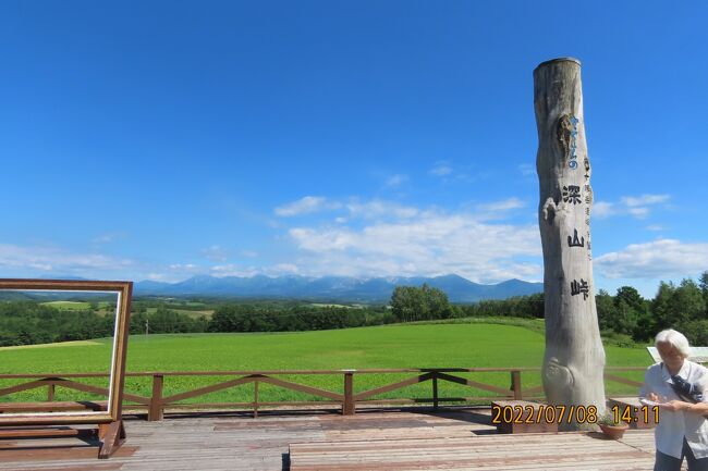 阪急交通社の7月6日～7月9日で7つの絶景をめぐる夏の北海道への旅に参加しました。　7月6日の羽田空港第一ターミナルでの集合時間が8時10分であったために空港近くのホテルに前泊しました。　当方の参加目的は今迄十分に行けなかったベストシーズンを迎える美瑛、富良野に行きたかったことと再び、美しい摩周湖及び知床連山の風景を見たかったことと層雲峡温泉に宿泊したかったことなどであります。　今回の旅は4回目でしたが、ベストシーズンに初めて行ったことでいろいろと収穫がありました。<br />旅の日程は次の通りです。<br />7月5日　前泊　　羽田空港に近いホテルに前泊<br />7月6日　羽田空港より新千歳空港、新千歳空港よりツアーバスで阿寒湖迄　阿寒湖温泉泊<br />7月7日　阿寒湖より湖巡り、阿寒湖、摩周湖，屈斜路湖、天都山展望台　層雲峡温泉泊<br />7月8日　層雲峡～美瑛、富良野　　　札幌泊<br />7月9日　札幌より新千歳空港、羽田空港へ<br /><br /><br />7月8日、午後1時頃に四季彩の丘を発ち、ハーブガーデン富良野へ昼食を食べるために行きました。その後深山峠アートパークへ行きました。<br /><br /><br /><br /><br />*写真は深山峠アートパークから見られる十勝岳連峰