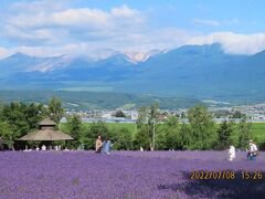 7つの絶景をめぐる夏の北海道への旅⑯ファーム富田でラベンダーを見ました