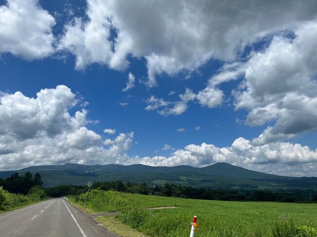 日本一の強酸性の温泉をを体験したくて新玉川温泉へ。盛岡まで新幹線で行きレンタカーで八幡平をドライブ。行きの八幡平の景色はあいにく霧で視界も悪く残念でしたが、お天気は新玉川温泉の立ち寄り湯に入っている間に回復。玉川温泉（新玉川温泉）は湯治場として利用されることが納得の泉質でした。