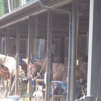 大町から黒部・立山へ    辰野宿泊編