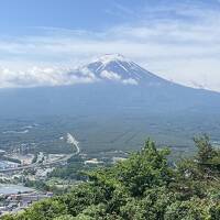 どうしても会いたくて・・・また会いに行きます