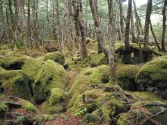 白駒池と軽井沢１泊２日～苔の森～