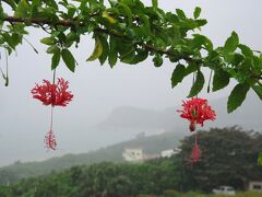 石垣島漫遊記（１）　石垣島北部