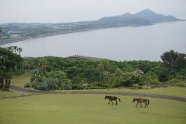 鹿児島旅行記～2022 指宿市編～その1