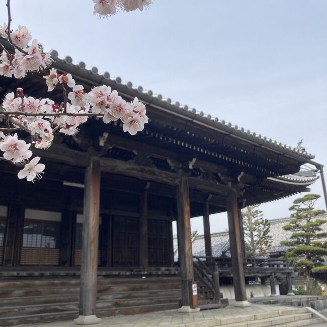 花盛りの静岡・愛知・三重・滋賀、春の旧東海道を行く(その9・水口町～近江鉄道沿線)