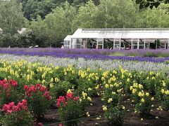 雲上の花畑広がる「旭岳」と「黒岳」ガーデンフェスタ北海道2022⑥２日目の3　～ファーム富田～