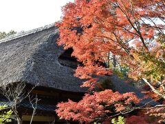 笠間日動美術館でシルバニア そして紅葉の春風萬里荘