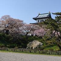 道南キャンプと道民割函館割の旅２