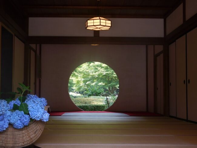 2022年<br />6月24日(金)<br />7:00ごろ自家用車で都内出発<br />9:00すぎ 鎌倉建長寺近くの有料駐車場に駐車<br />徒歩にて明月院へ<br />10:20 cafe VERVE<br />11:30 円覚寺<br />12:40 建長寺<br />14:40 食事処 点心庵<br />駐車場に戻り 車で鎌倉プリンスホテルへ<br /><br />6月25日(土)<br />7:00 ホテルで朝食<br />10:30 チェックアウト(車はホテルに駐車)<br />徒歩にて夫婦沼公園へ<br />13:45甘味処 露庵<br />その後 檑亭の庭園内散策<br />15:30 ブックカフェ 惣 common<br />17:00 日本料理 さらい<br />19:00 鎌倉プリンスホテルー帰宅