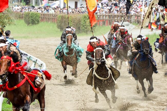 三年振りに開催された相馬野馬追祭。<br />今年は7/23.24.25と開催されたのですが、24日のみ、お行列、甲冑競馬、神旗争奪戦を前売り券を購入して早々と計画を立てました。<br />写真撮影許可証なる場所もくじみたいな感じであったのですが、早々といっぱいになってしまい、どんなものか、とりあえず見て来ましたが、想像を遥かに超えた素晴らしい伝統行事、迫力ある甲冑競馬を生で見ることが出来ました。