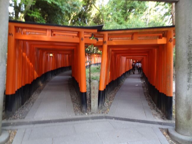 フェリー&温泉変態行程旅 函館湯の川温泉・その2.京都伏見稲荷大社参拝と東舞鶴へ鉄旅