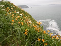 自転車で花の北海道満喫とクマとの遭遇