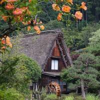 首都圏と飛騨高山ぐるっと一筆書きの旅。下呂温泉で合掌村と花火大会を堪能しました！