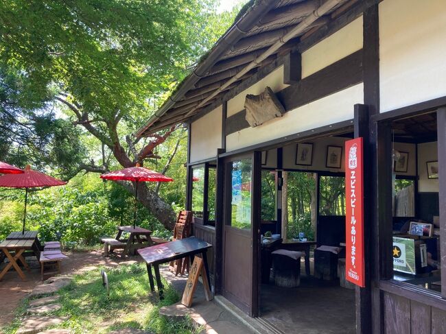 2022年<br />6月24日(金)<br />7:00ごろ自家用車で都内出発<br />9:00すぎ 鎌倉建長寺近くの有料駐車場に駐車<br />徒歩にて明月院へ<br />10:20 cafe VERVE<br />11:30 円覚寺<br />12:40 建長寺<br />14:40 食事処 点心庵<br />駐車場に戻り 車で鎌倉プリンスホテルへ<br /><br />6月25日(土)<br />7:00 ホテルで朝食<br />10:30 チェックアウト(車はホテルに駐車)<br />徒歩にて夫婦沼公園へ<br />13:45甘味処 露庵<br />その後 檑亭の庭園内散策<br />15:30 ブックカフェ 惣 common<br />17:00 日本料理 さらい<br />19:00 鎌倉プリンスホテルー帰宅