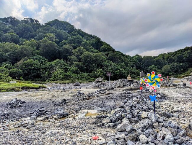 22年の夏期休暇（第一弾）は、未踏の地、青森・秋田・山形をレンタカーで縦断してきました！<br /><br />この旅でやりたい事<br />○各県のご当地グルメを食べる<br />○愛するゴリパラ見聞録の＜東北聖地巡礼＞をする<br /><br />1日目　福岡→青森、 青森観光<br /><br />2日目　青森観光<br /><br />3日目　秋田観光<br /><br />4日目　山形観光、山形→福岡