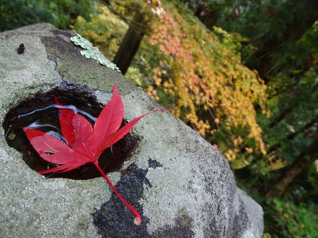 山形旅行　山寺と紅葉とレトロ建築①