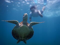 宮古島で遊ぶ食べる 街中のnewホテル 海ガメとシュノーケリング 4days☆前編☆