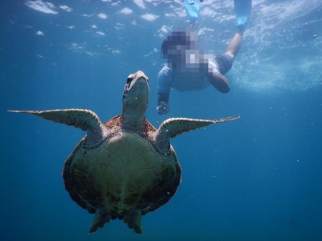 夏休みの家族旅行はマイル利用、シーズン限定で関空から直行便が飛んでいる宮古島に決定。<br /><br />初めての宮古島で、みなさまの旅行記を参考にさせていただきました。<br />いつも本当にありがとうございます。<br /><br />オンザビーチのホテルの夏休み価格はポチッとする余裕がなく、晩ごはんにサクッと行ける街中ホテルに3泊。<br /><br />宮古島もレンタカー不足でとんでもない価格になっていましたが、カーシェアで無事予約することができました。<br /><br />【旅行費用】<br />1人約円<br />☆JAL航空券(関空~宮古島)<br /> @20,000マイル×4名分<br />☆ホテル「たびのホテルlit宮古島」ツイン2部屋<br /> 3泊で2部屋合計 約130,000円<br />☆タイムズカーシェア(ベーシック)4日間 <br /> 19,800円+約5,000円(距離料金)