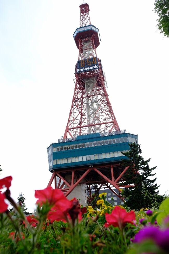 小樽市に1泊後、札幌市に戻り2泊しました。<br />本編は2日目の夕刻から4日目の帰宅までの記録です。　