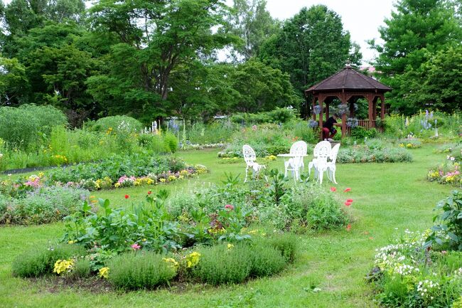『紫竹ガーデン』は帯広市の観光庭園で、大変人気のあるガーデンです。私が知ったのは、3年前の4トラメンバーmilkさんが母娘旅をされた旅行記で、ガーデンの魅力もありましたが「紫竹おばあちゃん」の愛称で呼ばれた紫竹昭葉さんがチャーミングでとても印象に残りました。ぜひ訪ねてみたいと思っていたのですが、その昭葉（本名 昭代）さんが昨年、2021年の早咲きのチューリップが咲き始めた5月に94歳で天寿を全うされたそうです。<br /><br />昭葉さんは帯広で生まれ、会社員の妻だったそうです。病気で仲良しだった夫を亡くしたあと、失意の日々を過ごしていましたが、63歳の時に娘さんから言われた言葉がきっかけで、悲しみを乗り越えて自分らしく生きることを考え始めたとのこと。&quot;昔遊んだ花いっぱいの野原をつくろう&quot;と思い立ち... 日高山脈を見渡す約1万8000坪の牧草地を買い取って庭園造りをスタート。そして花いっぱいのお庭ができた1989年に紫竹ガーデンをオープンしたのだそうです。<br /><br />60歳を過ぎてから第2の人生を歩まれ、お一人で立派なガーデンを造り上げ、そのお庭ではトレードマークの花柄の服や帽子姿で観光客をもてなし、気さくな人柄で親しまれていたそうです。そんな紫竹おばあちゃんの想いが詰まったお庭を、ぜひとも見たくて訪問しました。　