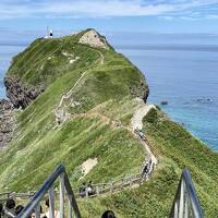 夏旅　積丹の赤ウニと、定山渓温泉