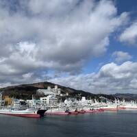 気仙沼_Kesennuma　モウカの星！世界三大漁場の金華山沖に近く、東北地方最大級の漁港を抱く港町