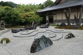 初夏の三重・奈良・京都♪　Vol.228 ☆青もみじの美しい「圓光寺」♪