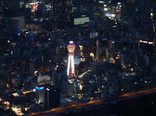 あべのハルカスから大阪の夜景を見る。真下の天王寺公園は暗いし，通天閣は，遠くて小さいし。梅田駅近辺は，遠くて，角度も悪くて，みるべきものがない。ちょっと期待はずれでした。