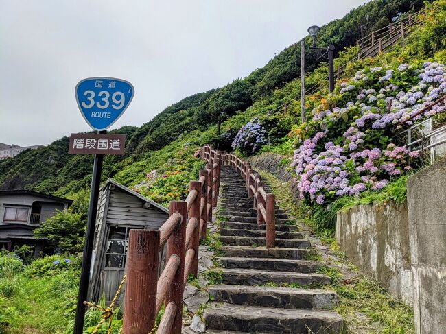 レンタカーで行く東北縦断★女一人旅～その2　青森・階段国道と田んぼアート～