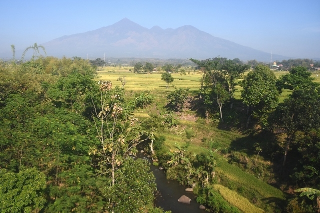 2015年インドネシア旅行記　第6回　ローカル線に乗り避暑地マランへ
